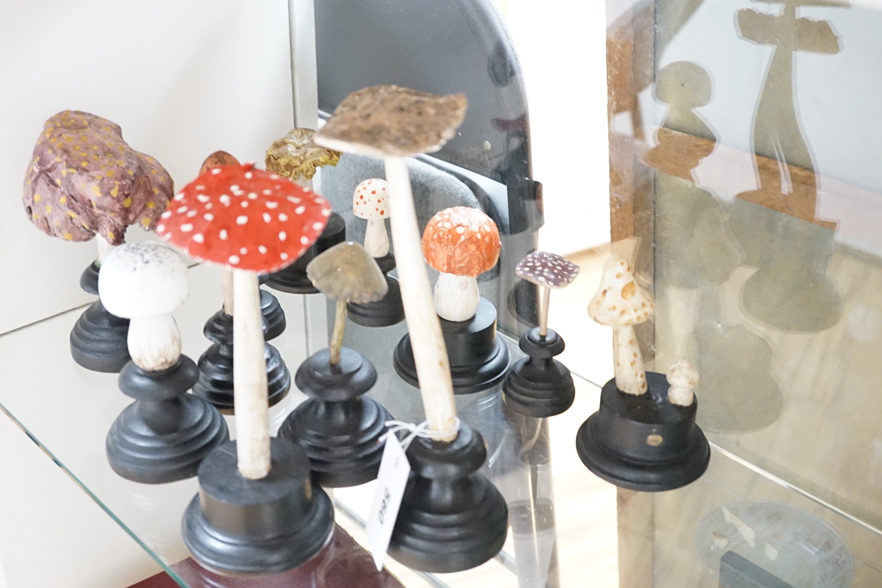 Twelve carved wood fungus specimen models, tallest 24cm